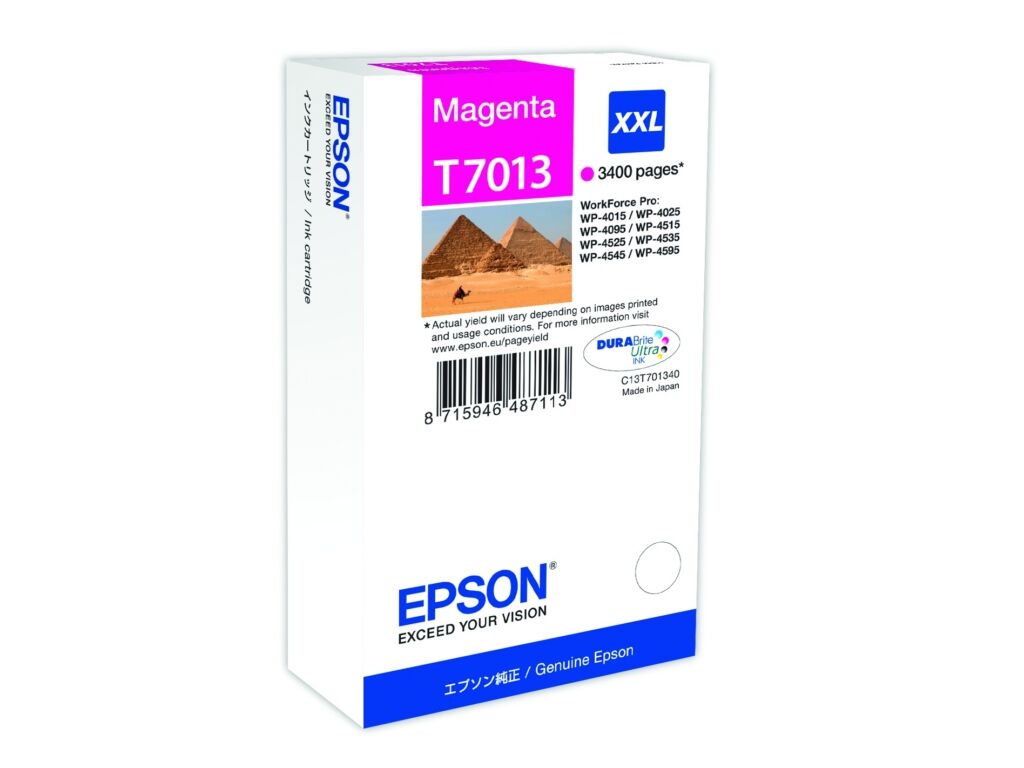 Tinte / Epson - C13T70134010 / T7013